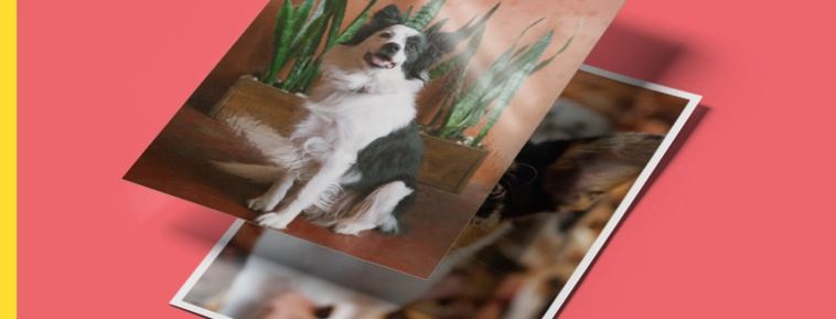 Klassieke foto afdruk